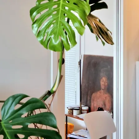Διαμέρισμα Sunny Terrace In Modern Flat With Ac